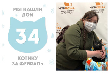 Котик Уголечек встретил чудесную хозяйку!