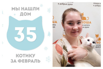 Котёнок Шишкин встретил прекрасную хозяйку!