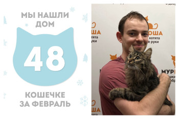 Кошечка Лапша встретила надежного хозяина!