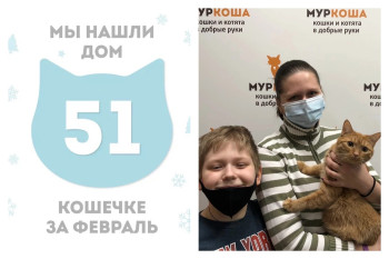 Кошечка Медяшка отправилась домой!