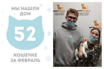 Кошка Мардж стала домашней!
