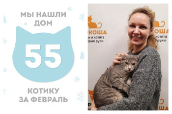 Котик Жюль начинает домашнюю жизнь!