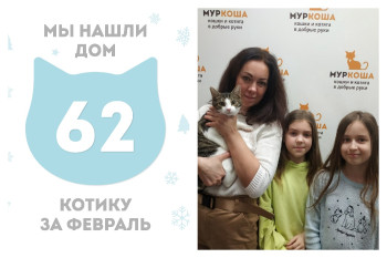 Котик Овечкин начинает домашнюю жизнь!