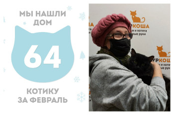 Котик Кузяка стал домашним!