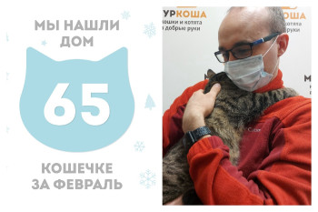 Кошечка Мэги обрела домашнее счастье!