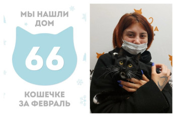 Котенок Ленточка отправилась домой!