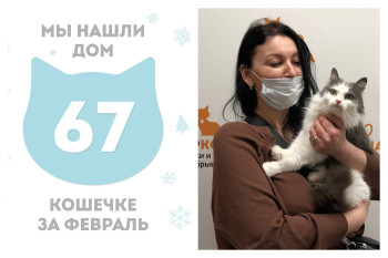 Кошечка Леди Ди стала домашней за две недели!