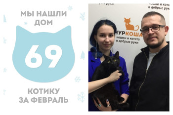 Котик Рипли встретил свою прекрасную семью!