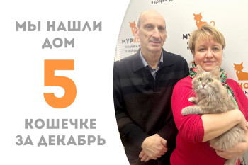 Кошечка Фенестина нашла себе заботливую семью за полтора месяца! 