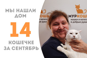 Шестилетняя кошечка Фетакса вновь стала домашней! 