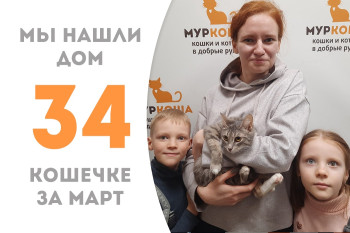 Кошечка Фишечка стала домашней любимицей!