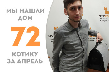 Десятимесячная Фликка уехала домой! 