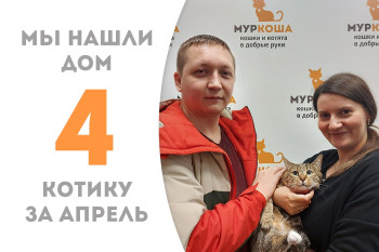 Котик Флюгер обрел долгожданное домашнее счастье!