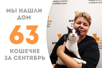 Годовалая кошечка Графуня стала домашней спустя месяц с небольшим в приюте! 