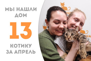 Котёнок Гусь теперь домашний! 