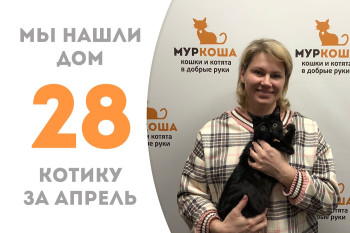 Полугодовалый Иртыш стал домашним за месяц! 