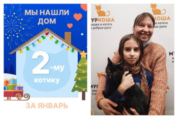 Котик Нафанаил стал домашним любимцем!