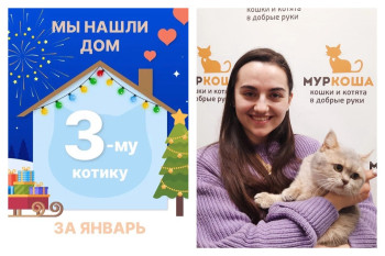 Котик Пафик начинает домашнюю жизнь!