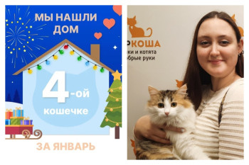 Кошечка Ульянка начинает счастливую жизнь дома!