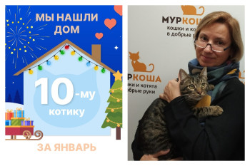 Милый Левчанский стал домашним любимцем!