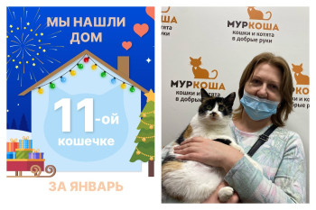 Кошечка Тату стала домашней за два месяца!