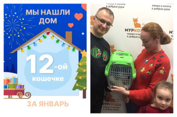 У кошечки Кильки теперь есть надёжная семья!