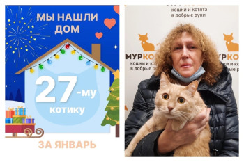 Котик Валли встретил прекрасную хозяйку!