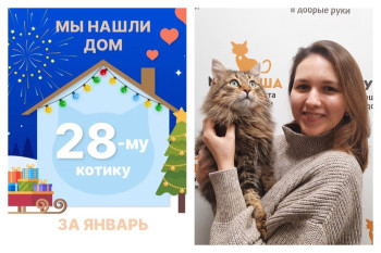 Котик Пушкин начинает счастливую домашнюю жизнь!