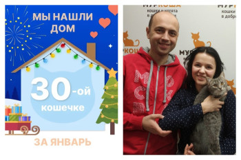 Кошечка Каширка отправилась домой!