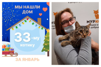 Котик Пантин стал домашним любимцем!