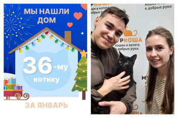 Котёнок Люфик встретил любящих хозяев!