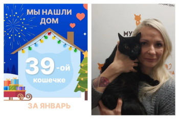 Кошечка Бигтейсти уехала домой!