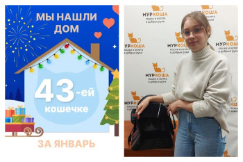 Кошечка Ингрид начинает домашнюю жизнь!