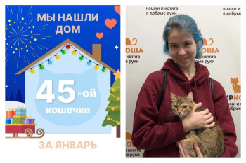 Котёнок Пилар стала домашней за три месяца!
