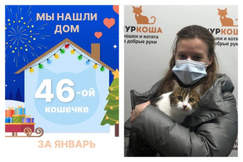 Через три месяца домой уехала кошечка Альда!