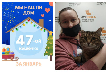 Кошечка Ворожея стала домашней!