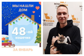Кошечка Сокровище стала домашней за три недели!