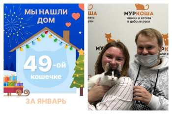 Кошечка Розочка отправилась в счастливую домашнюю жизнь!