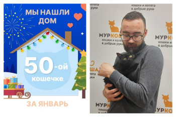 У кошечки Закиры теперь есть дом и семья!