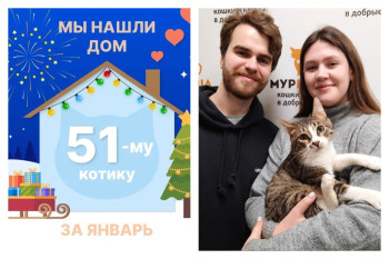 Котик Локдаун отправился домой!