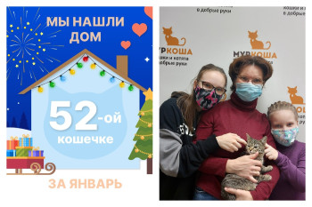 Маленькая Бронси нашла дом за два месяца!