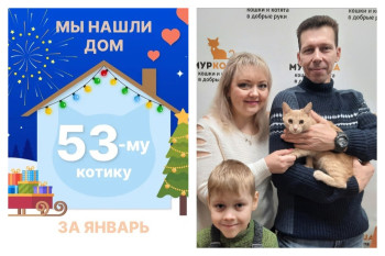 Котик Тьюринг рад познакомить со своей семьёй!
