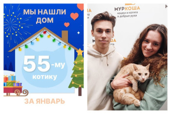 Котик Кальмар начинает счастливую жизнь дома!