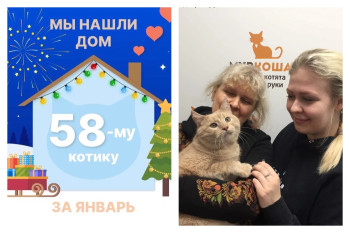 Кот Митенька отправился в счастливую жизнь!
