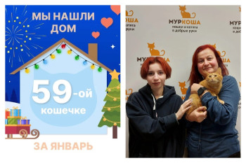 Кошечка Рыжуня всего за месяц стала домашней!