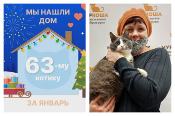 Котик Дорофей обрёл домашнее счастье!