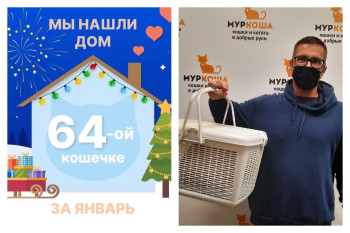 Кошка Орейро отправилась домой!