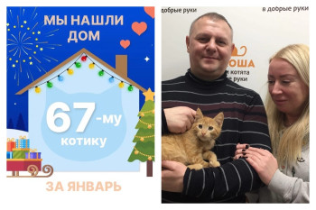 Спустя всего месяц котенок Позитивчик нашёл дом!