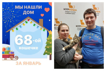 Кошка Ванесси через три месяца встретила любящую семью!