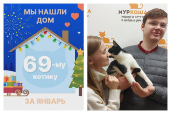 У котика Мушика появилась надёжная семья!